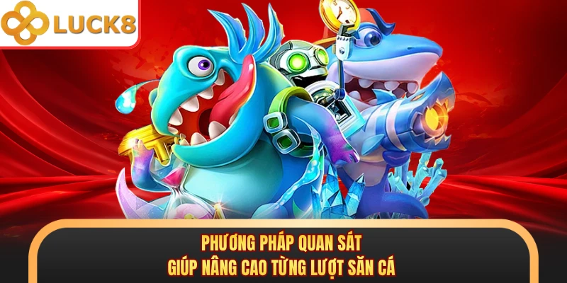 Phương pháp quan sát giúp nâng cao từng lượt săn cá